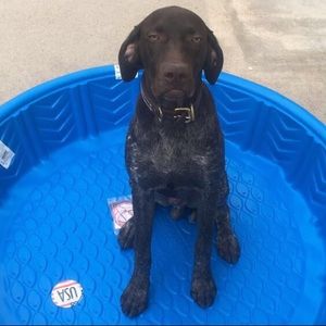 Meet your Posher, Laney